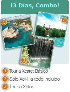 isla mujeres tour nado con delfines tulum express combo