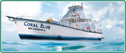 Tours en Cancun -  Cozumel Plus 