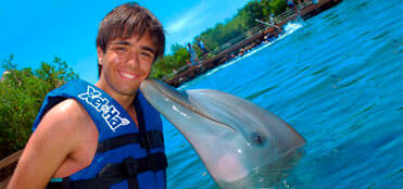 Nados con delfines en Cancun | Tours en Cancun, promociones y descuentos