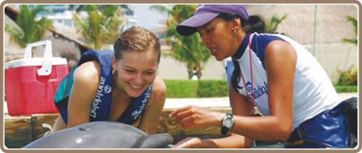 Nados con delfines en Cancun | Tours en Cancun, promociones y descuentos