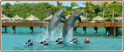 Xcaret y nados con delfines | Tours Cancun y Riviera Maya