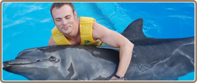 Nados con delfines en Cancun | Tours en Cancun