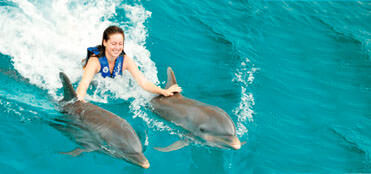 Nados con delfines en Cancun | Tours en Cancun, promociones y descuentos
