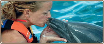 Nados con delfines en Cozumel | Tours en Cozumel, promociones y descuentos