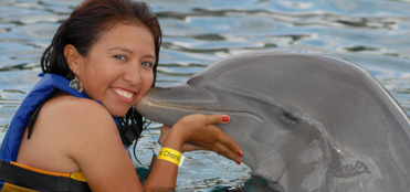 Nados con delfines en Cozumel | Tours en Cozumel, promociones y descuentos