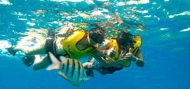 Tours de Snorkel en Cozumel | Snorkel en Cozumel