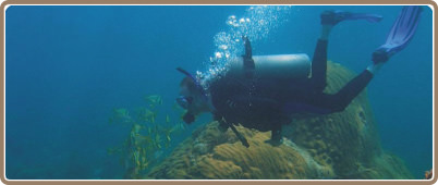 Tours de Buceo: un tanque, Cozumel | Buceos un tanque, Cozumel Mexico