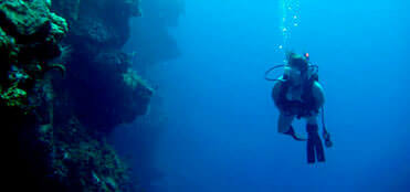 Buceo en Cozumel | Tours de buceo en Cozumel