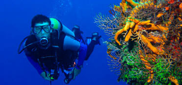 Lecciones de Buceo en Cancun | Tours de Buceo en Cancun