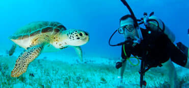 Curso PADI de Buceo en Cancun | Cursos de Buceo en Cancun