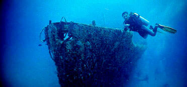 Tour de Buceo Nocturno en Cancun | Bucear en Cancun