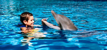 Nados con Delfines y Xelha Todo incluido | Tours en Combo Cancun