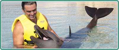 Nado con Delfines en Cancun | Tours en Cancun