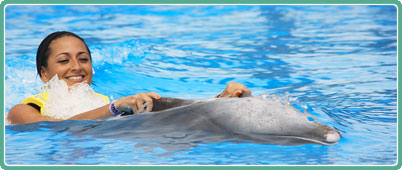 Nados con delfines en Cancun | Tours econ�micos en Cancun