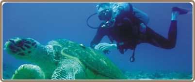 Cancun Certificado de Buceo Mar Abierto | Tours en Cancun