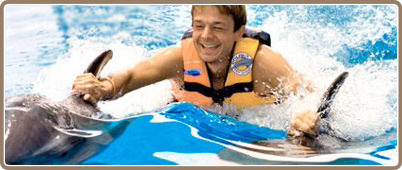 Nados con delfines en Riviera Maya | Tours en Riviera Maya, promociones y descuentos