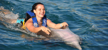 Nados con delfines en Riviera Maya | Tours en Riviera Maya, promociones y descuentos