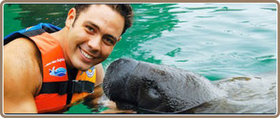 Nados con delfines en Riviera Maya | Tours en Riviera Maya, promociones y descuentos