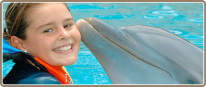 Nados con delfines en Riviera Mayal | Tours en Riviera Maya, promociones y descuentos