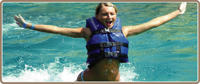 Tours en Riviera Maya | Nadar con delfines en Riviera Maya