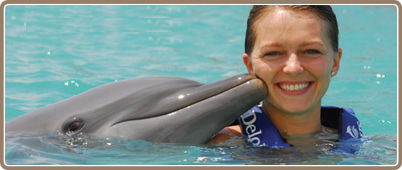Nados con delfines en Riviera Maya | Tours Riviera Maya, promociones y descuentos