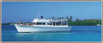Tours ecologicos y de aventura | Tours en Cancun