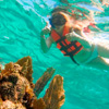 Snorkeling Adventure