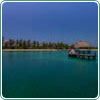 Tour a Isla Contoy