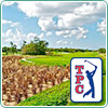 TPC Golf Twilight
