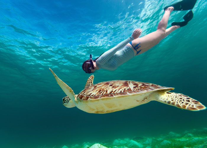  SNORKEL TOURS con Tortugas + Isla Mujeres