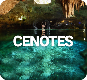 Tours de Cenotes