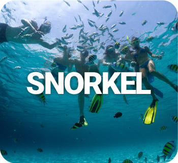 Tours de Snorkel