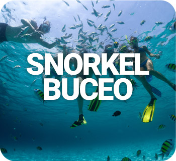 Tours de Snorkel
