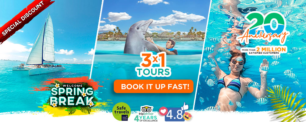 swim with dolphins in cancun