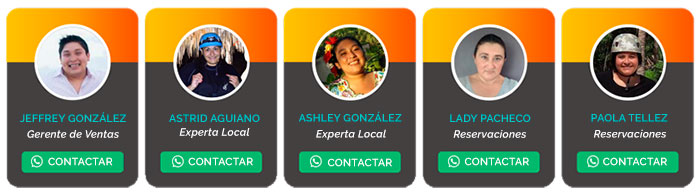 Expertos locales en cancun