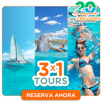 3x1 en tours isla mujeres nado con delfines y catamaran isla mujeres