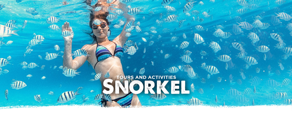 Snorkel tours