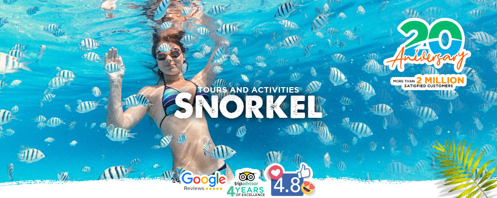 Snorkel tours