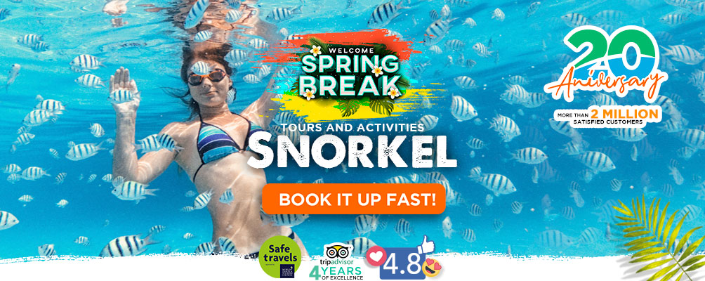 Snorkel tours