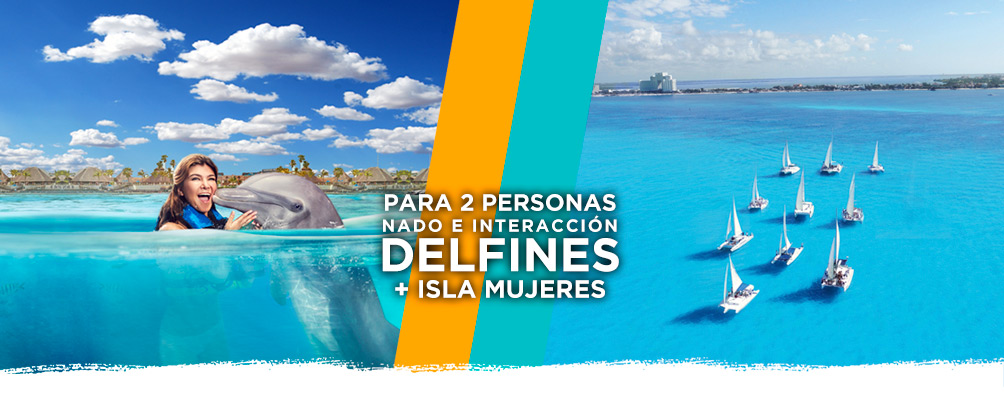 Tours nado con delfines en Cancún y riviera maya