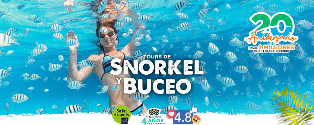 Tours y actividades de snorkel en cozumel e isla mujeres y cancun