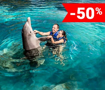 nados-delfines-cancun