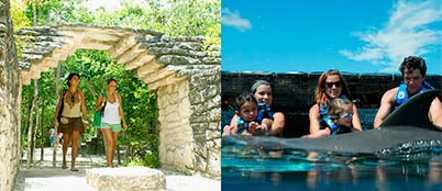 cozumel-delfines-encuentro