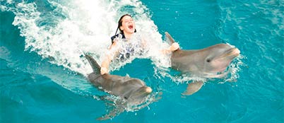 swim-adventure-isla-mujeres