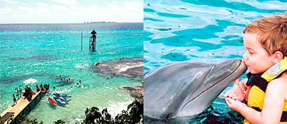 delfines-parque-garrafon