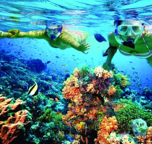 turistas haciendo snorkel en Isla Mujeres