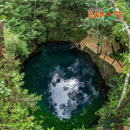 Vista superior de la boca de un cenote