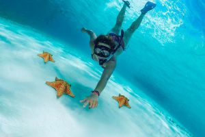 mujer joven nadando entre las estrellas de mar en El Cielo Cozumel