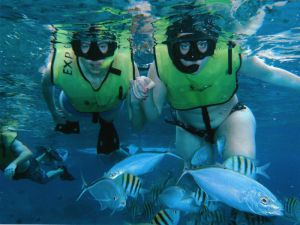 pareca de turistas snorkeleando en cozumel