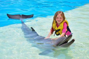 Niña rubia acariciando un delfín en Cancún